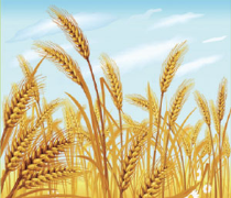 本图片来源于网络，如有侵权，请联系我们删除