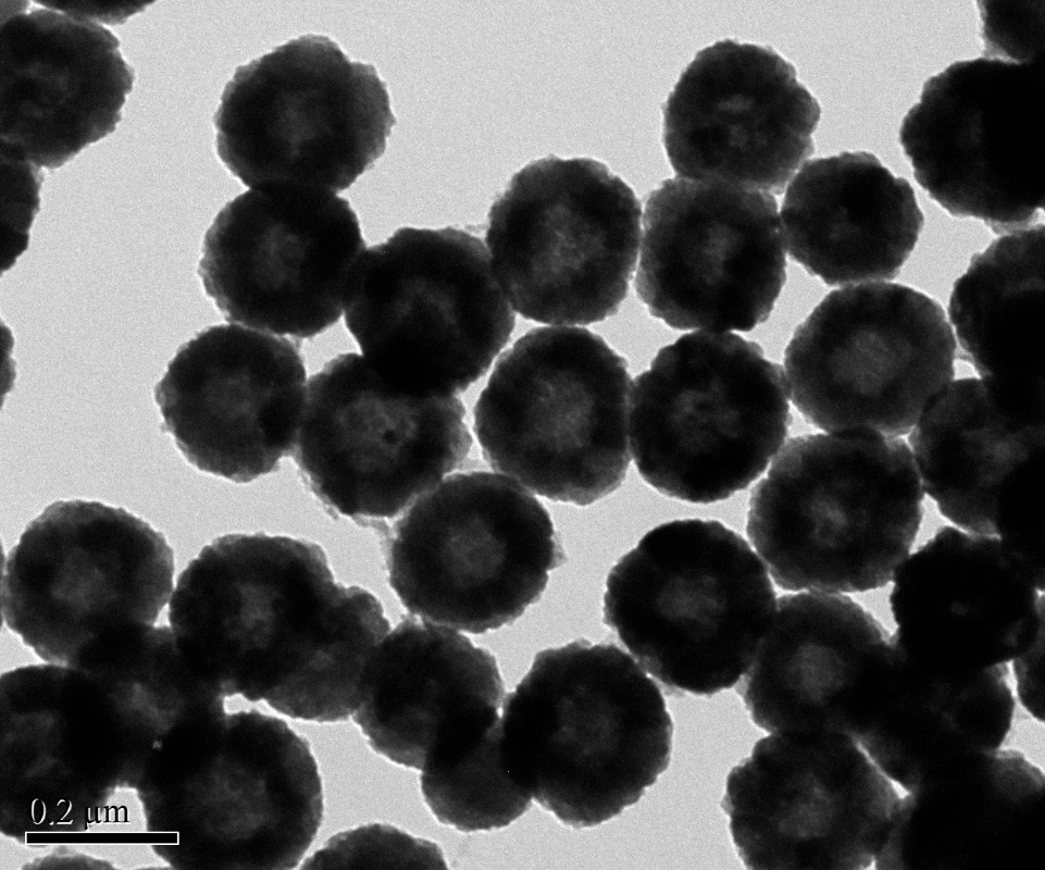 图1 四氧化三铁磁珠透射电镜图——粒径分布均一