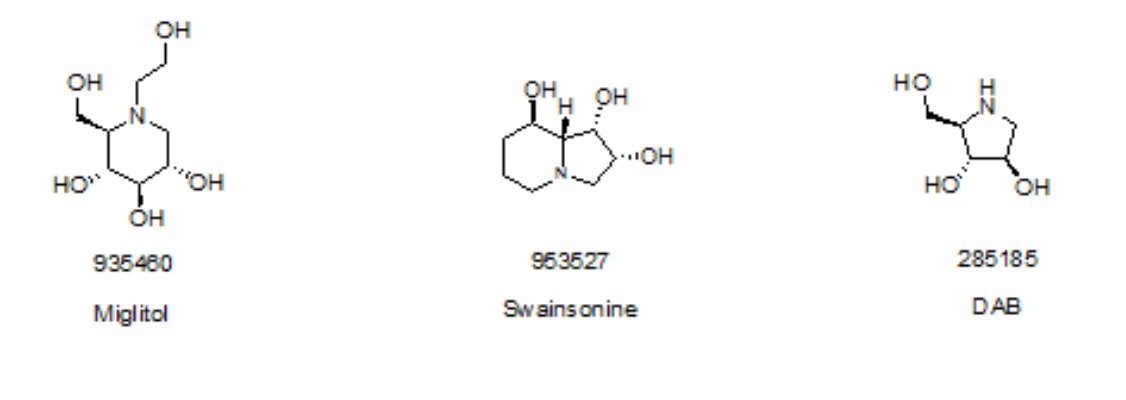 氮杂糖类药物及酶抑制剂
