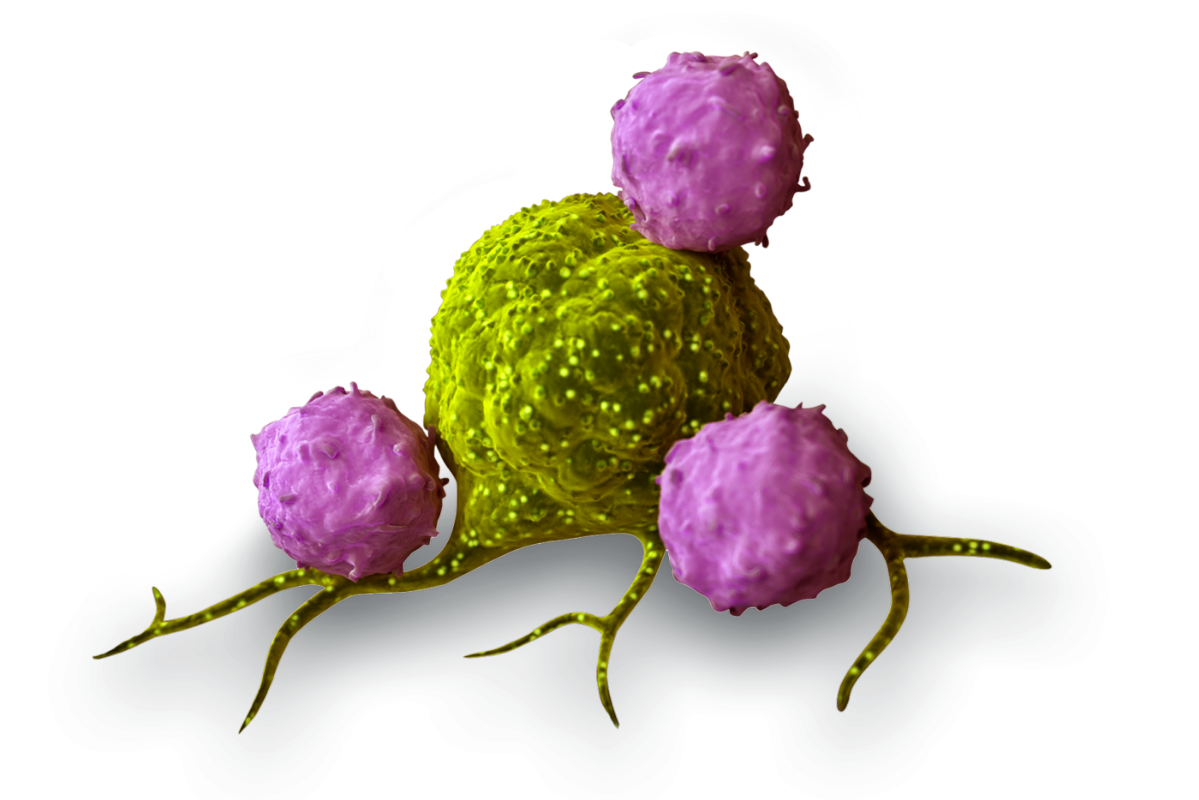 肿瘤靶向治疗相关活性小分子化合物