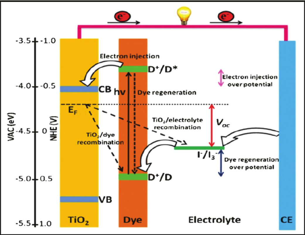 图1 染料敏化太阳能电池工作原理<sup>[1]</sup>