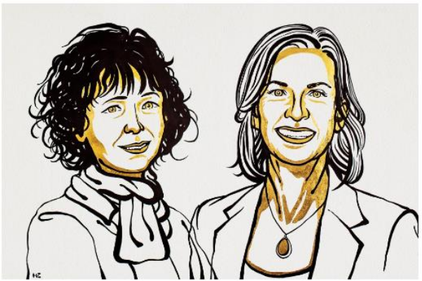 图1 2020年诺贝尔化学奖“花落”两位女性科学家<sup>[1]</sup>