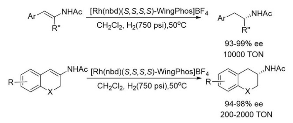 WingPhos has shown high efficiency in rhodium-catalyzed asymmetric hydrogenation of (E)-β-aryl-N-acetyl enamides, cyclic β-arylenamides, and heterocyclic β-arylenamides. A series of chiral β-arylisopropylamines, 2-aminotetralines, and 3-aminochromans are synthesized in excellent ee's at high substrate to catalyst ratios (showing up to 10,000 TON).<br><br>