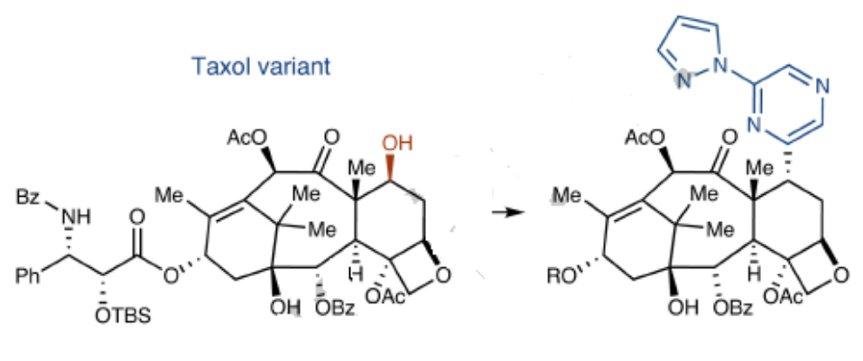 图3：Deoxazole参与紫杉醇的后期功能化<sup>[1]<sup>