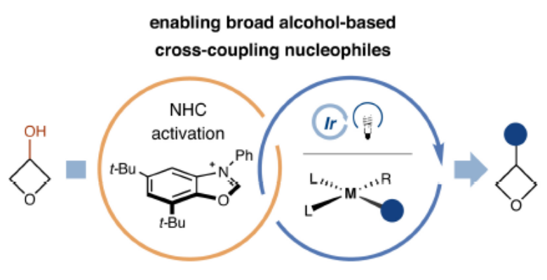 图1：Deoxazole使醇类化合物直接脱氧生成对应的碳自由基，参与各类偶联反应<sup>[1]<sup>