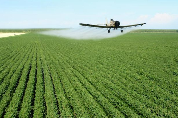 图片源自网络，如有侵权，请联系删除。