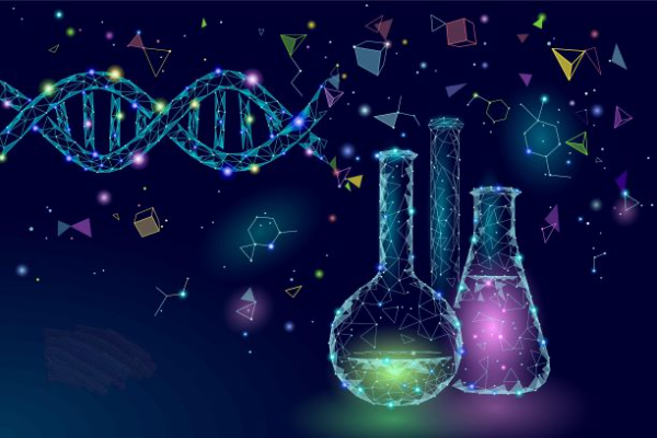 图片来自网络，如有侵权，请联系删除