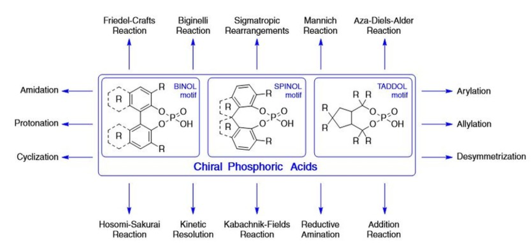 手性磷酸促进的不对称合成实例