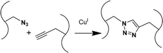 图1 叠氮化物和炔烃生成1,4-三唑的CuAAC反应<sup>[1]</sup>