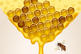 GB/T 43448-2023 蜂蜜中17-三十五烯含量的测定 气相色谱质谱法
