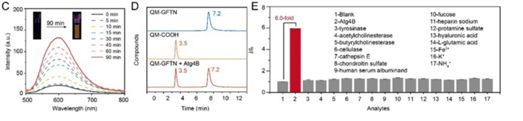 图3：QM-GFTN对Atg4B良好的选择性，较短的检测时间<sup>[2]</sup>。