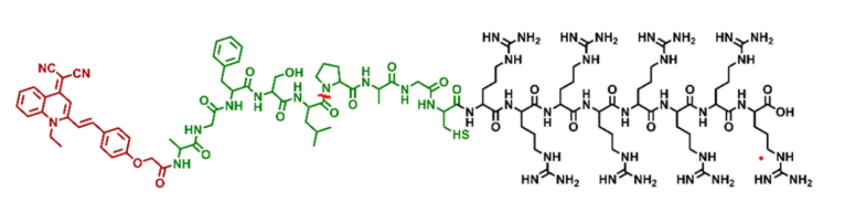 图4：QM-HSP-CPP结构式<sup>[3]</sup>