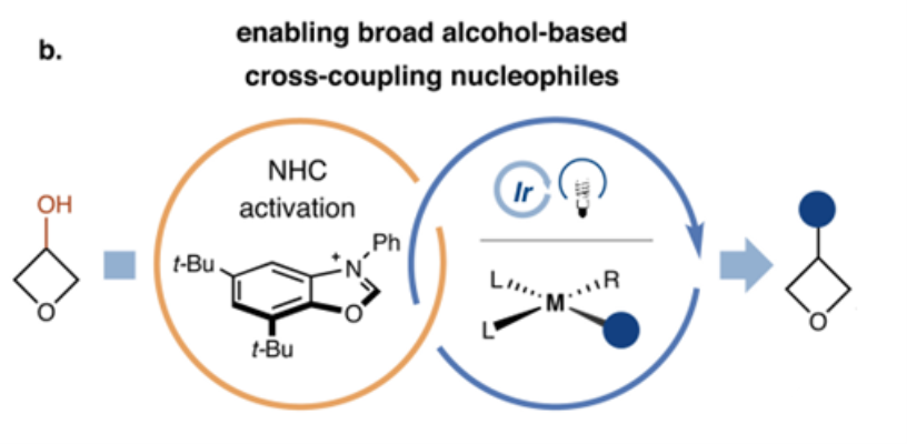 图2：全新脱氧自由基偶联反应<sup>[1]<sup>