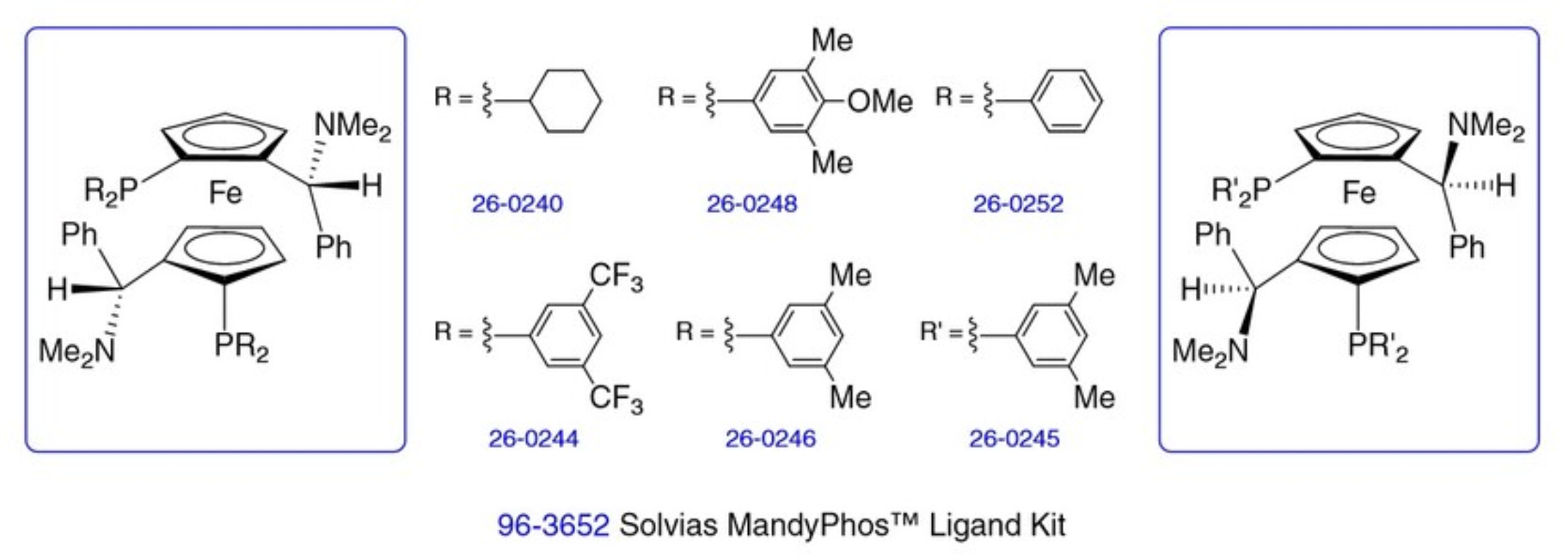 Fig. 1 MandyPhos ligands