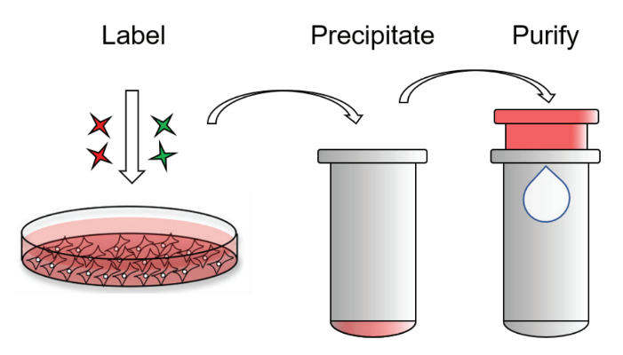 本图片来源于网络，如有侵权，请联系我们删除