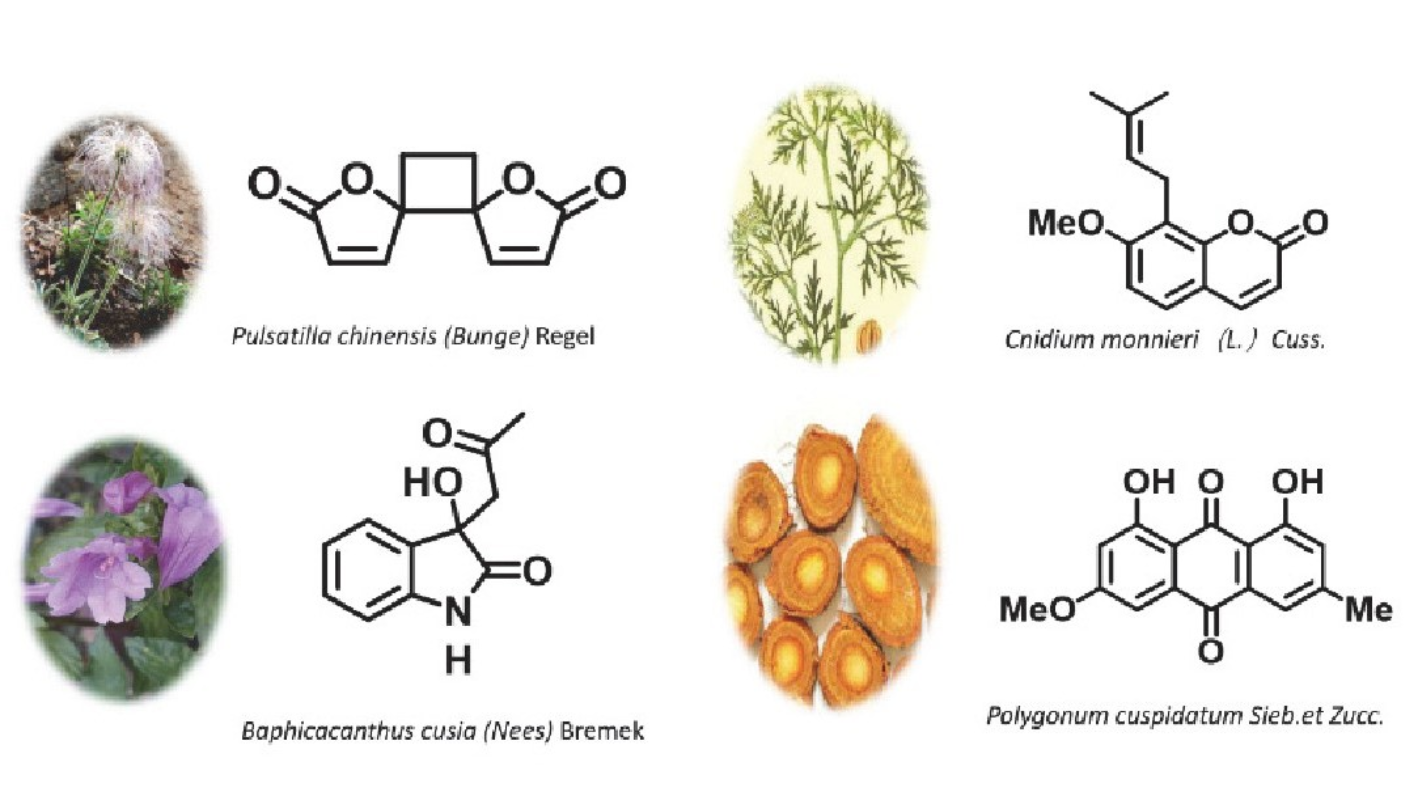 图1 来源于天然产物的杀菌剂<sup>[1]</sup>