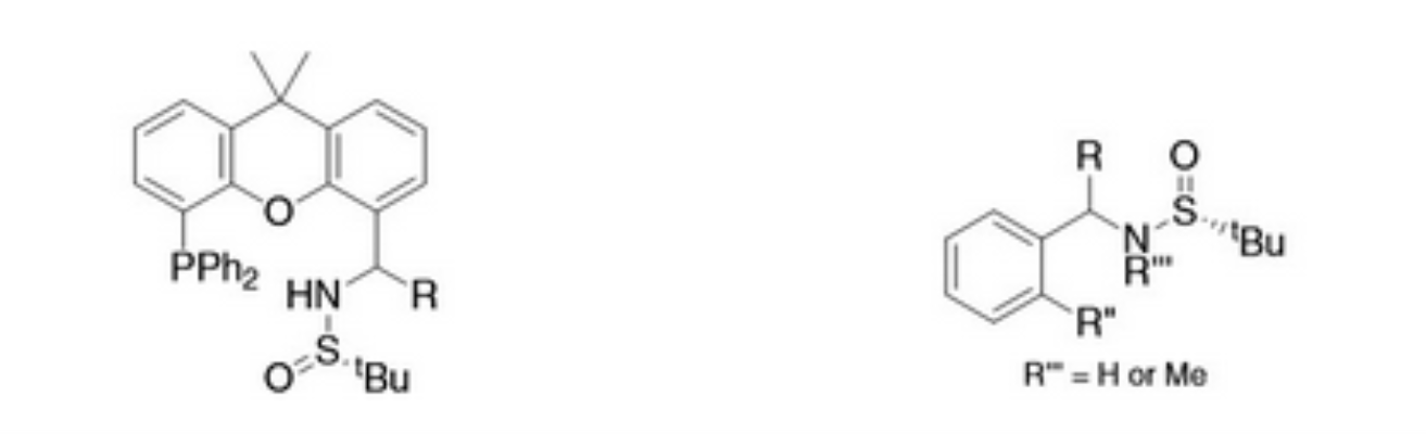 图1手性亚砜膦配体的一般结构