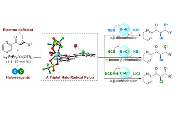 图1：缺电子烯烃的不对称双卤化<sup>1</sup>