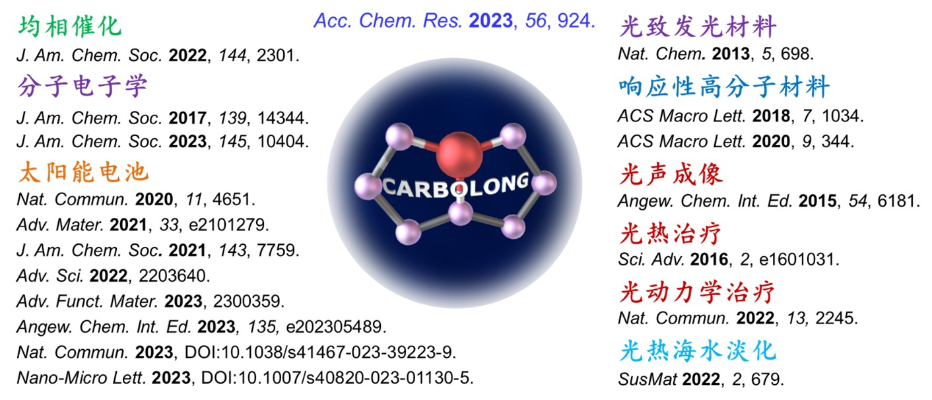 图3 碳龙配合物性能与应用研究成果