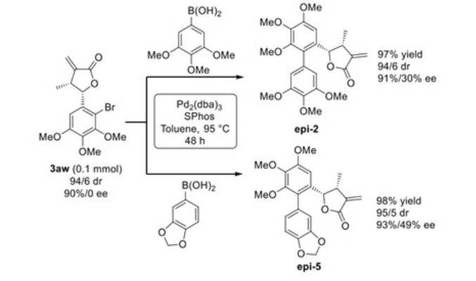 图3 天然产物Eupomatilones 2和 Eupomatilones 5的全合成<sup>[1]</sup>