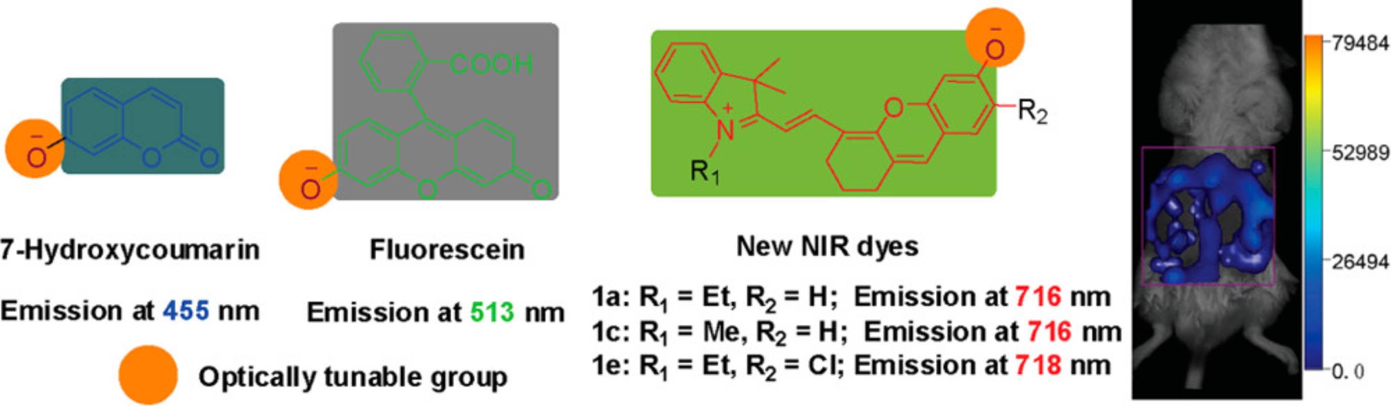 图1湖大染料 （HD dyes）<sup>[1]</sup>. 