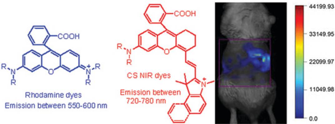 图2长沙染料（CS dyes）<sup>[2]</sup>. 