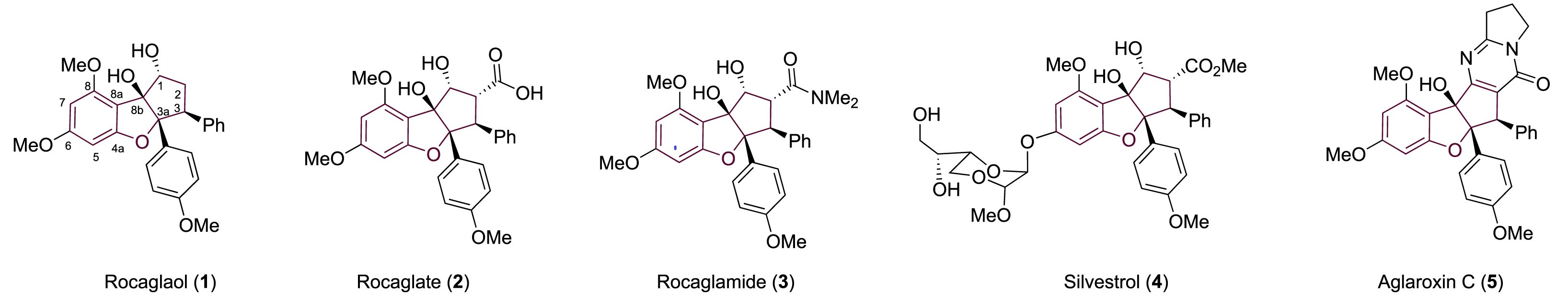 图1 含有环戊基[b]苯并呋喃骨架的黄酮类化合物