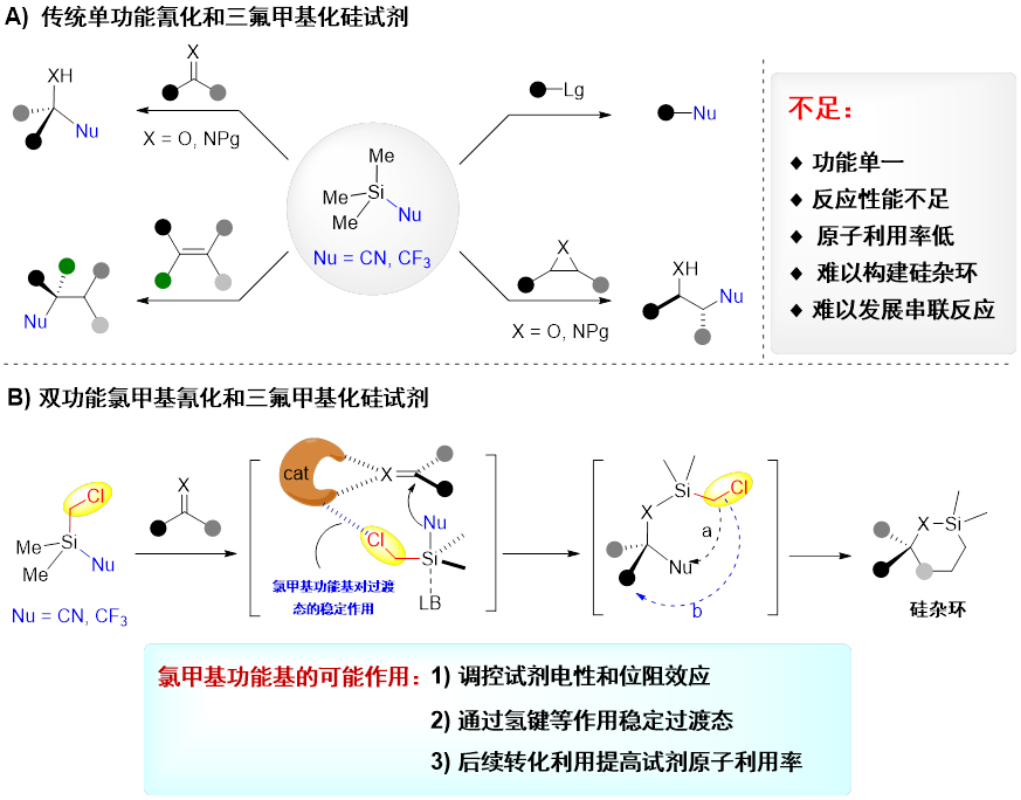 图1 双功能硅试剂的特点和利用模式