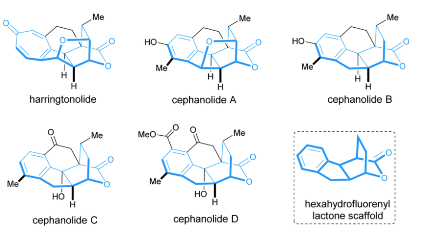 图1 代表性三尖杉二萜类天然产物