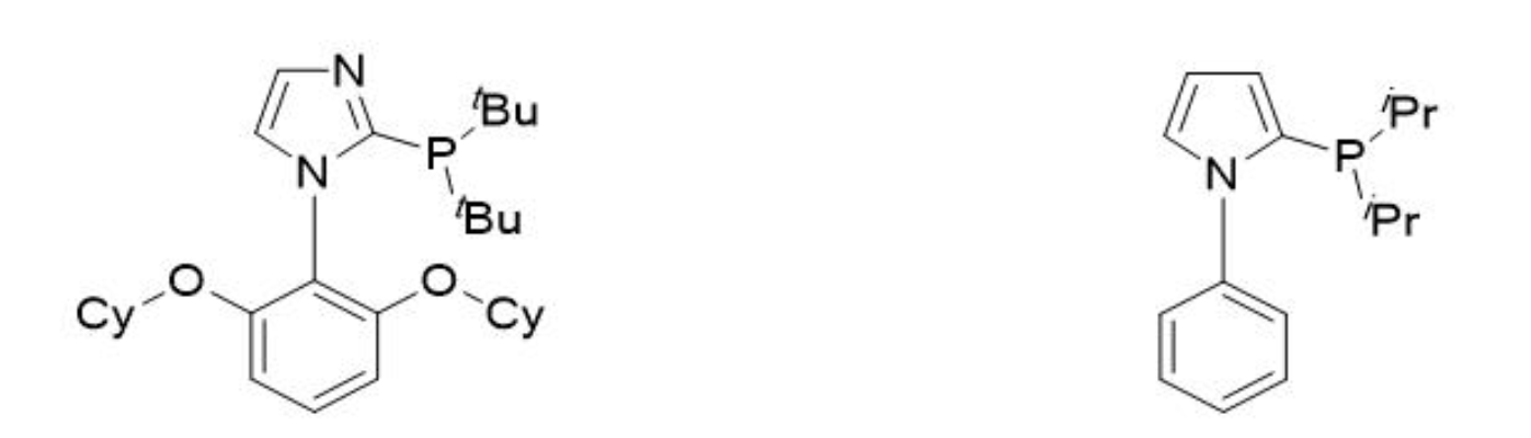 图1.N-苯基唑基膦配体