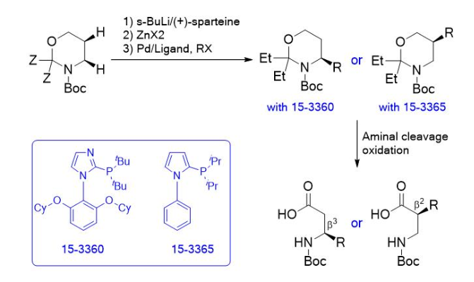 图2.N-苯基唑基膦配体