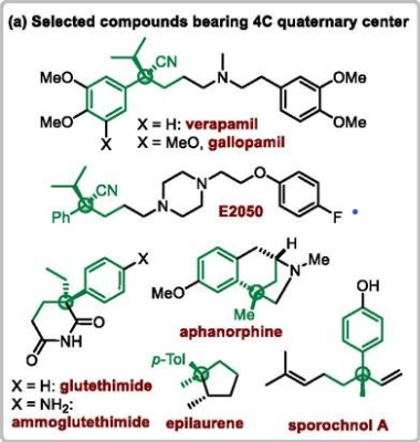 图1 具有季碳立体中心的代表性药物或天然产物