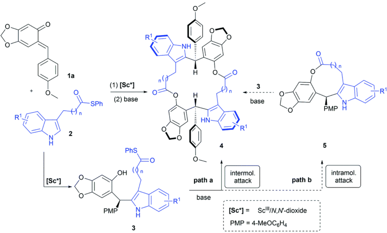 图2 冯氏手性氮氧配体/Sc(III)配合物催化合成大分子内酯化合物