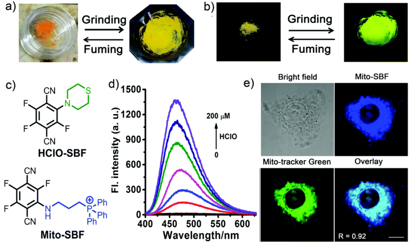 图2 Photographs of as-prepared SBF3 and after grinding under (a) visible light and (b) 365 nm irradiation. (c) Structures of HClO-SBF and Mito-SBF. (d) The fluorescence spectra of HClO-SBF (10 μM) in the presence of various concentrations of HClO (0–200 μM) in PBS buffer (25 mM, pH 7.4) under excitation at 370 nm. (e) Intracellular localization of Mito-SBF and Mito-tracker Green in HepG2 cells. Scale bar: 10 μm.<sup>[1]</sup>