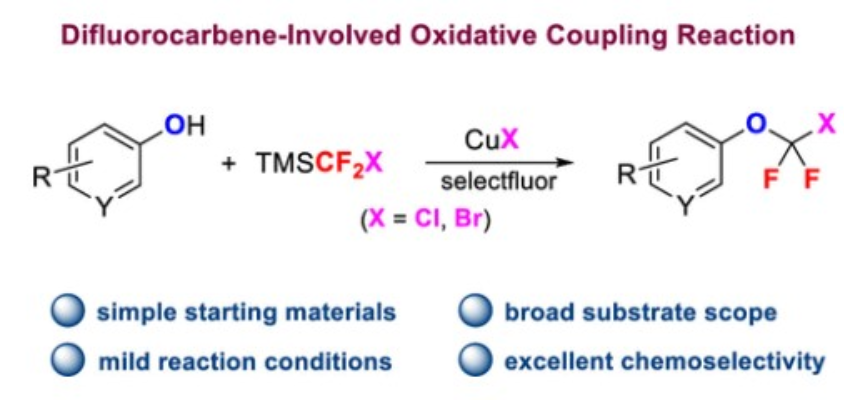 图1：二氟卡宾涉及的氧化偶联反应<sup>(1)</sup>