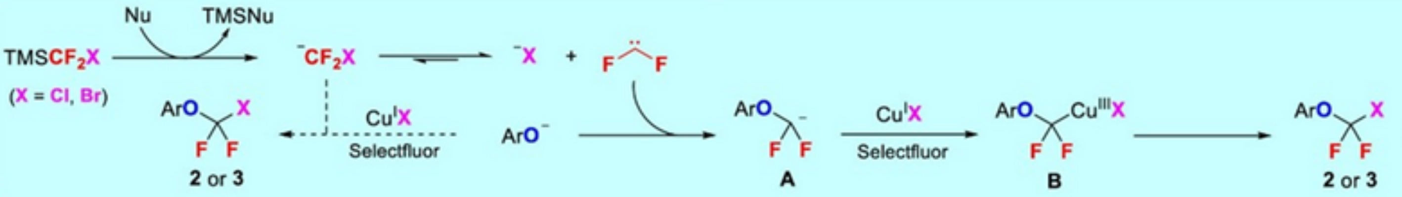 图2：反应机理图<sup>(1)</sup>