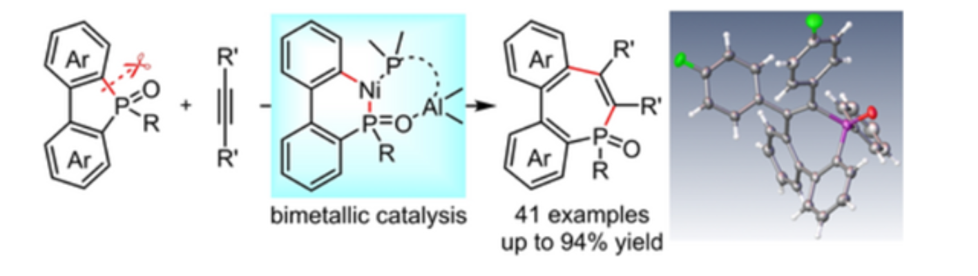 图1：Ni−Al双金属催化剂催化炔烃与5元磷杂环氧化物的分子间碳膦化反应