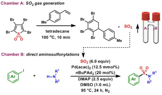 图2 SOgen试剂应用于钯催化芳基碘与胺的直接氨基磺酰化反应<sup>[1]</sup>