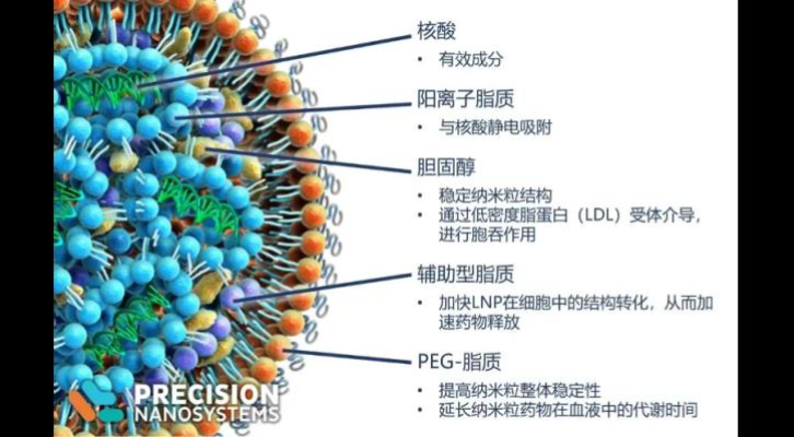 图2 LNP成分及结构<sup>[2]</sup>