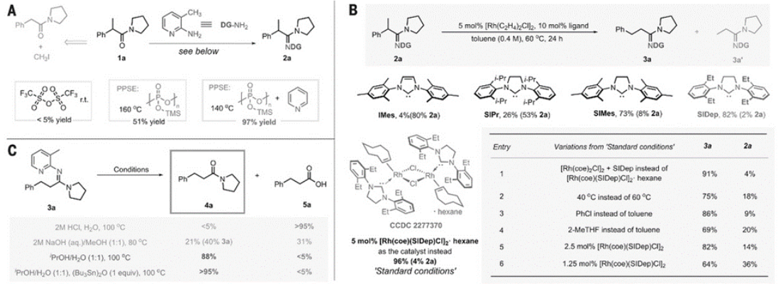 图3：反应条件优化：（A）DG 安装的选定条件优化。 r.t.，室温。 (B) 异构化步骤的选定条件优化和控制实验。 (C) DG 去除的选定条件优化。<sup>[1]</sup>