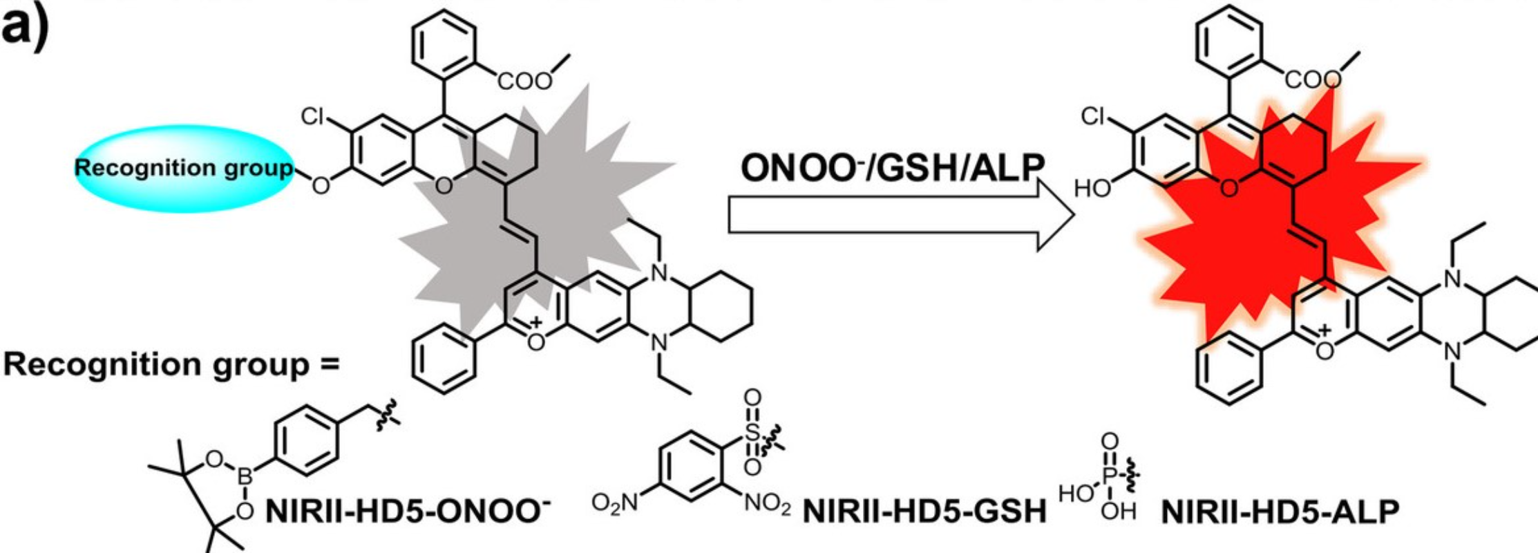 图2 用NIRII-HD5设计的两个激活型探针：NIRII-HD5-GSH荧光探针和NIRII-HD5-ONOO<sup>-</sup>荧光探针 <sup>[1]</sup>.