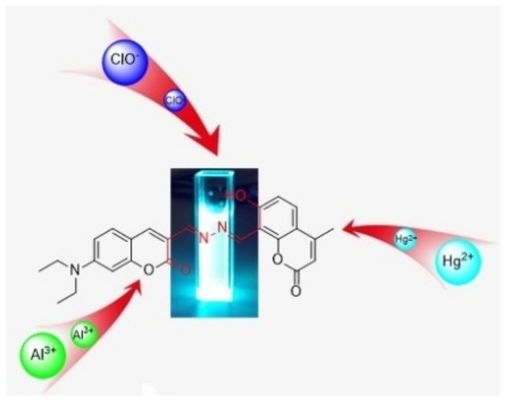 基于香豆素和乙二胺的多通道荧光探针具有“开启”特性，可识别Al<sup>3+</sup>、Hg<sup>2+</sup>和ClO<sup>-</sup>，最大发射波长分别为459nm、485nm和504nm<sup>[2]</sup>