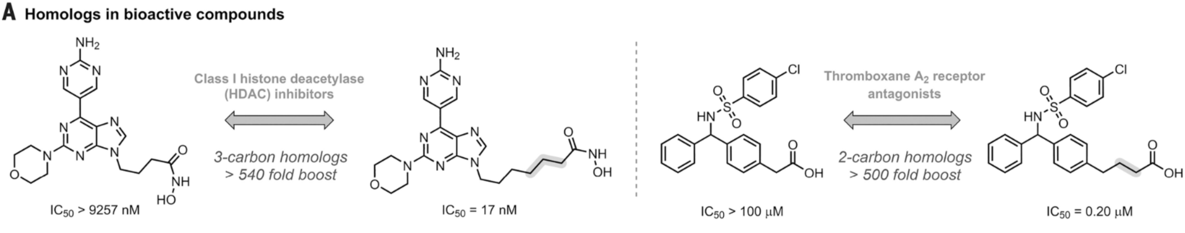 图1：同系物间性质差异<sup>[1]</sup>
