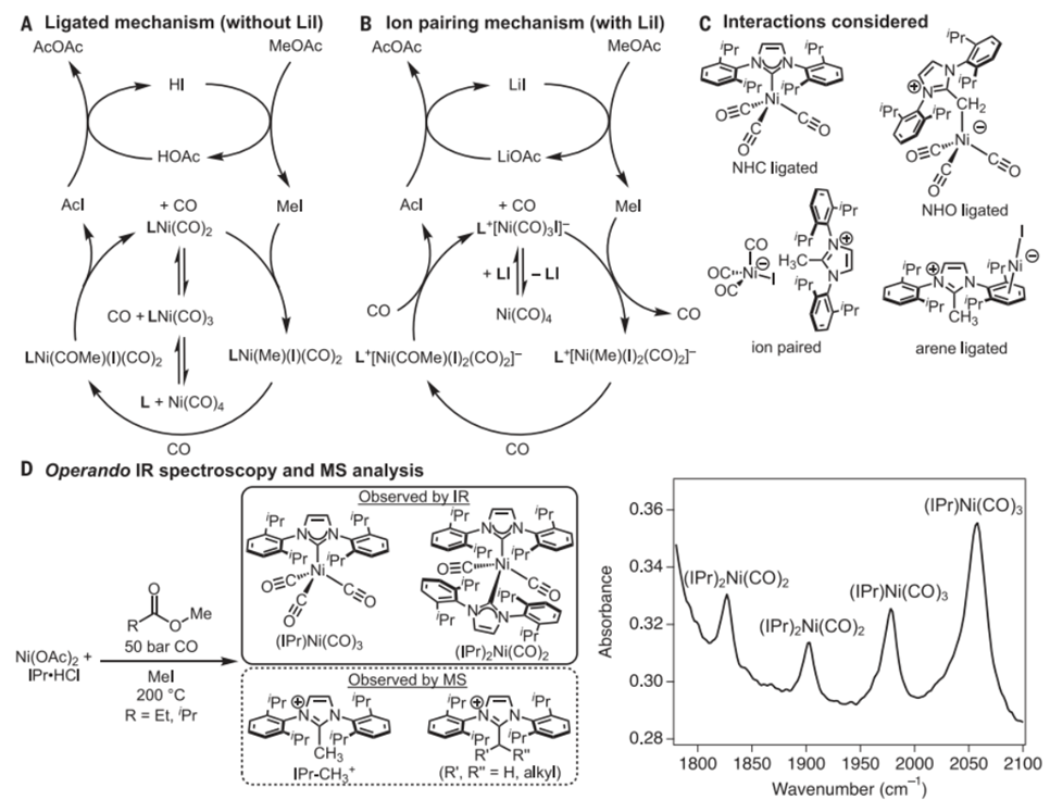 图2：反应机理研究<sup>[1]</sup>
