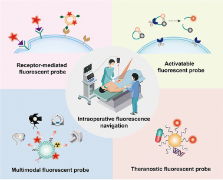 图1 荧光成像技术因具有操作简便、分辨率高、安全性好且可实时成像等优势,在术中导航中具有广阔的应用前景。<sup>[1]</sup>