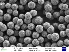 图1 Beads Mag COOH-SC 300在扫描电子显微镜下的成像