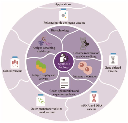 图1 合成生物学下游应用领域[1]<br>