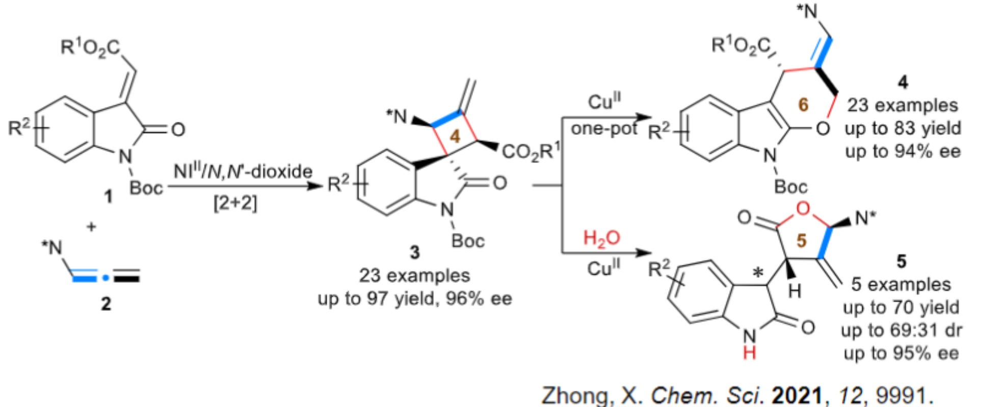 [2+2] 环加成和顺序转化