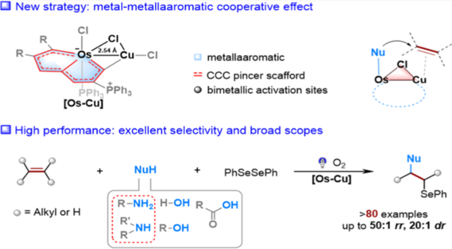 图1：催化非活化烯烃的双官能团化反应<sup>[1]</sup>