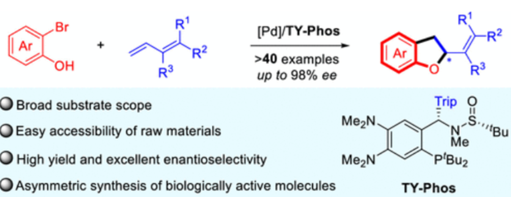 图2：不对称 Heck/Tsuji–Trost反应<sup>[2]</sup>